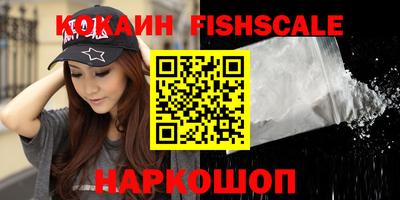 гидра Новозыбков