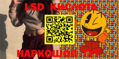 гидра Новозыбков