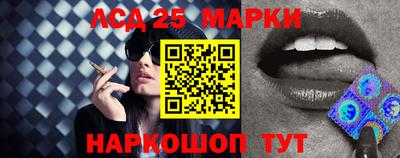 гидра Новозыбков