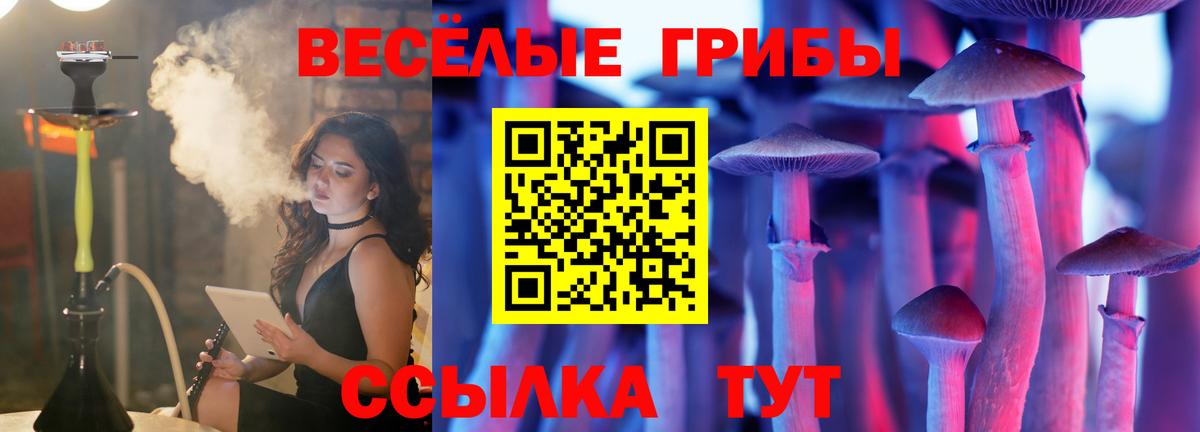 Галлюциногенные грибы MAGIC MUSHROOMS  Вход с VPN  Топки 