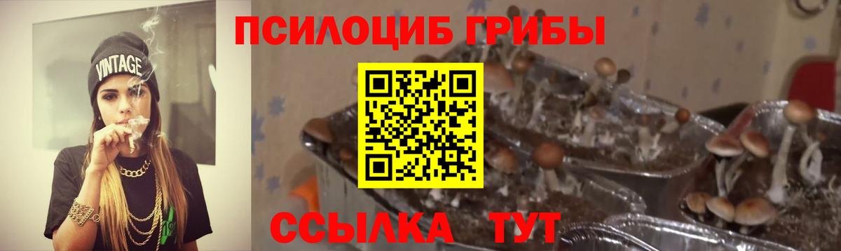 Псилоцибиновые грибы Cubensis Топки